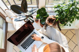 Ouvrir une franchise sans local